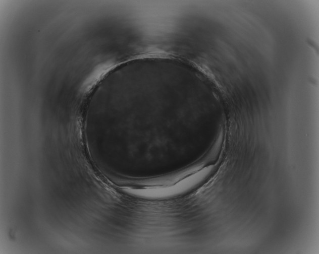 X0000091731455200709211011