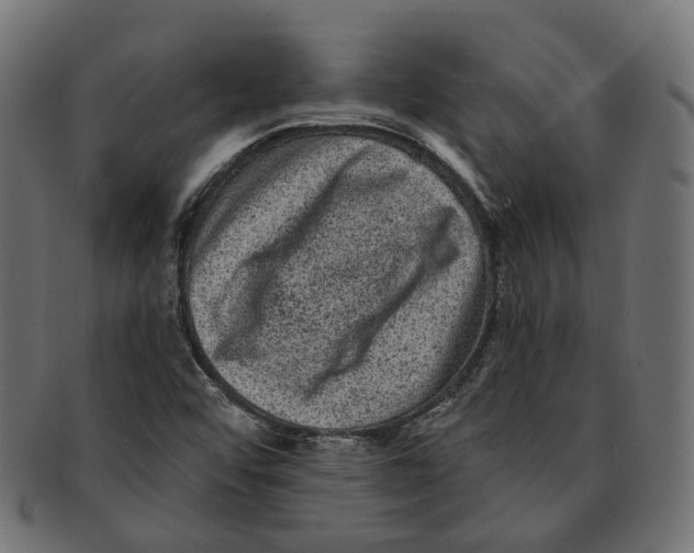 X0000091731456200709211011