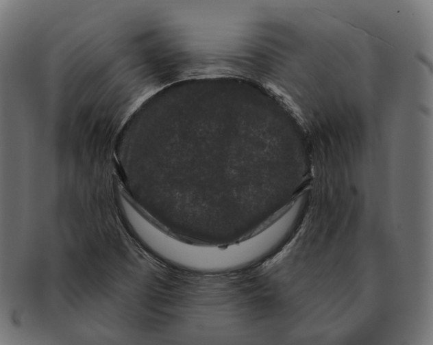 X0000091731457200709211011