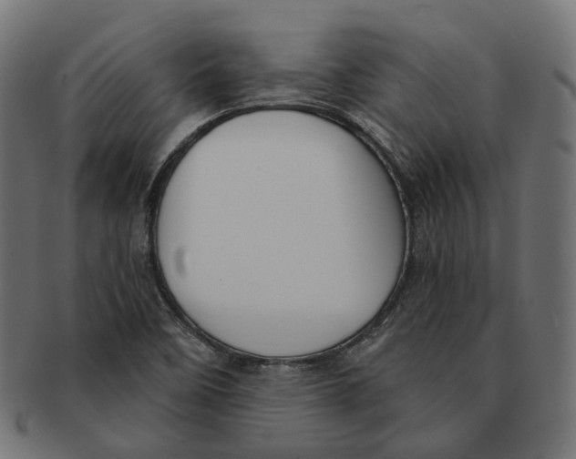 X0000091731458200709211011