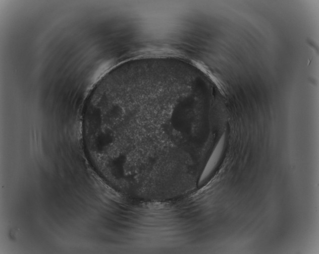 X0000091731459200709211011