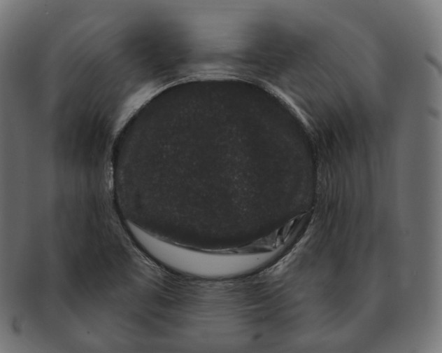 X0000091731461200709211011