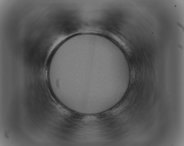 X0000091731462200709211011