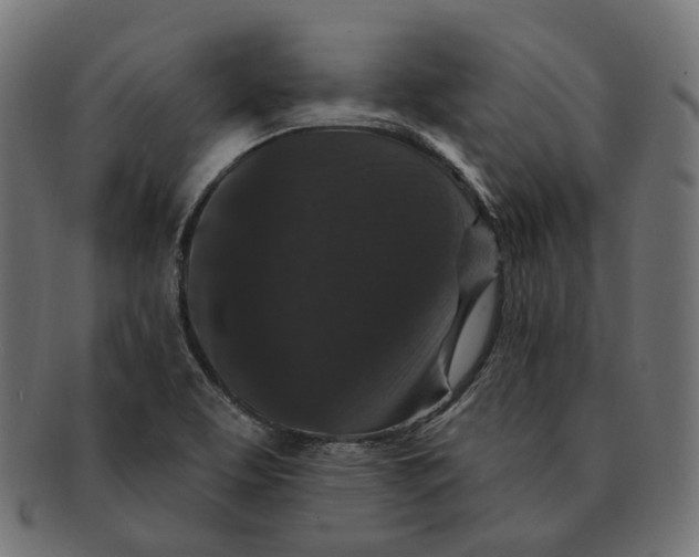 X0000091731463200709211011