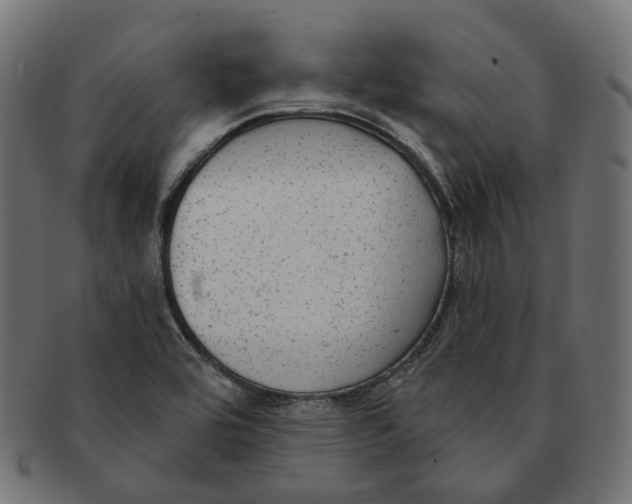 X0000091731464200709211011