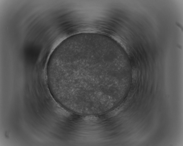 X0000091731466200709211011