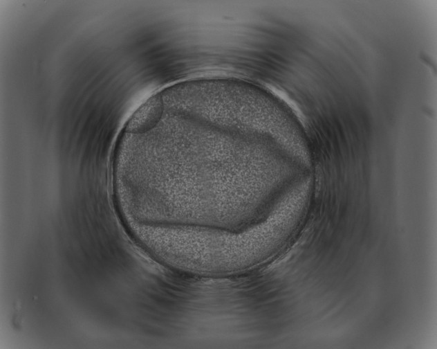 X0000091731467200709211011