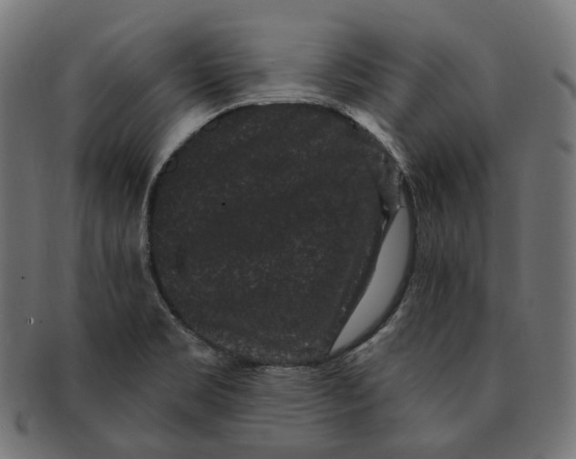 X0000091731469200709211011