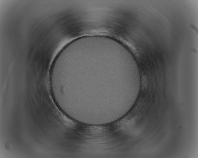 X0000091731470200709211011