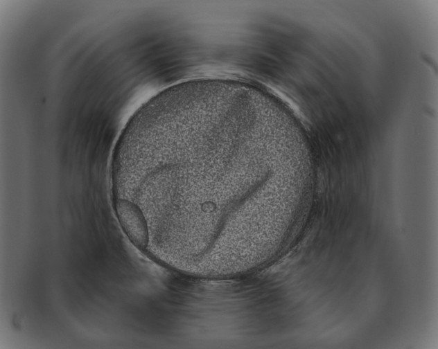 X0000091731471200709211011