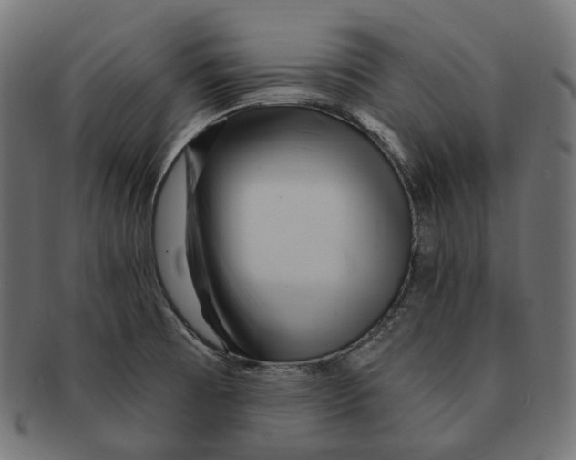 X0000091731473200709211011