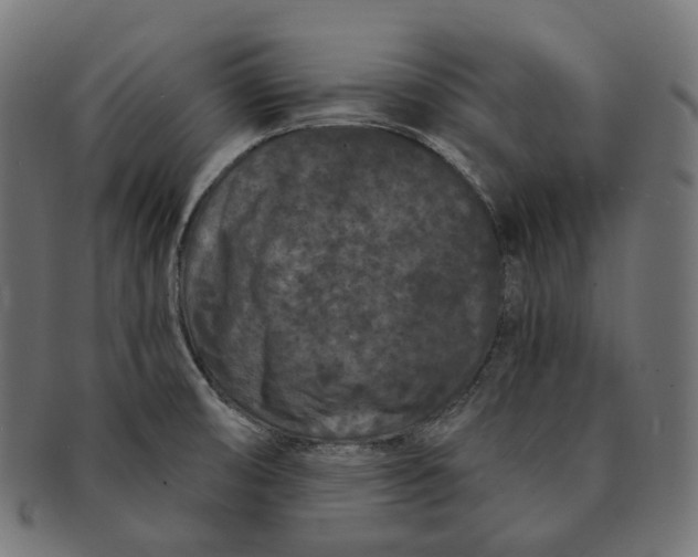 X0000091731474200709211011