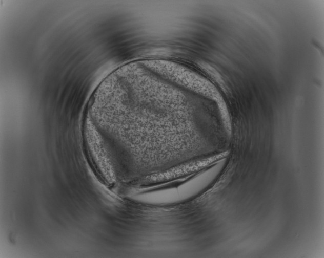 X0000091731475200709211011