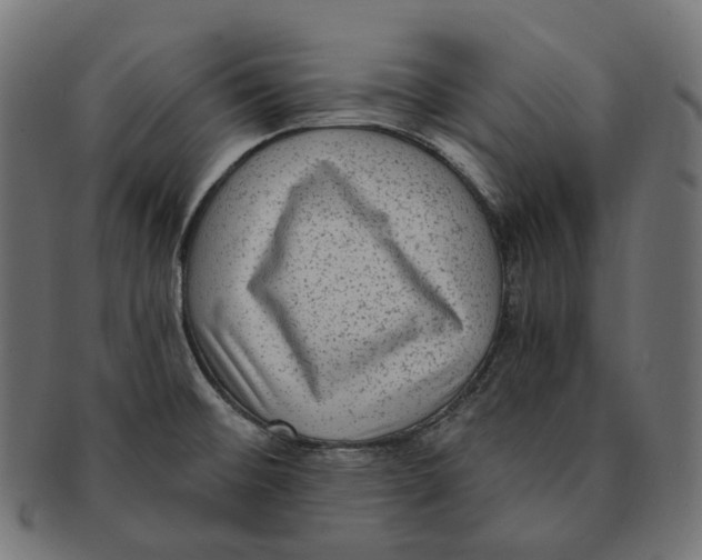 X0000091731476200709211011