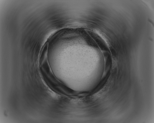 X0000091731477200709211011