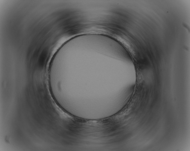 X0000091731478200709211011