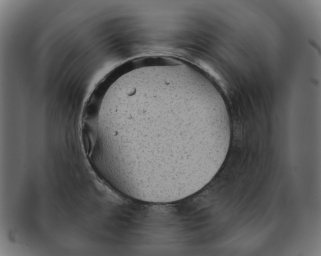 X0000091731480200709211011