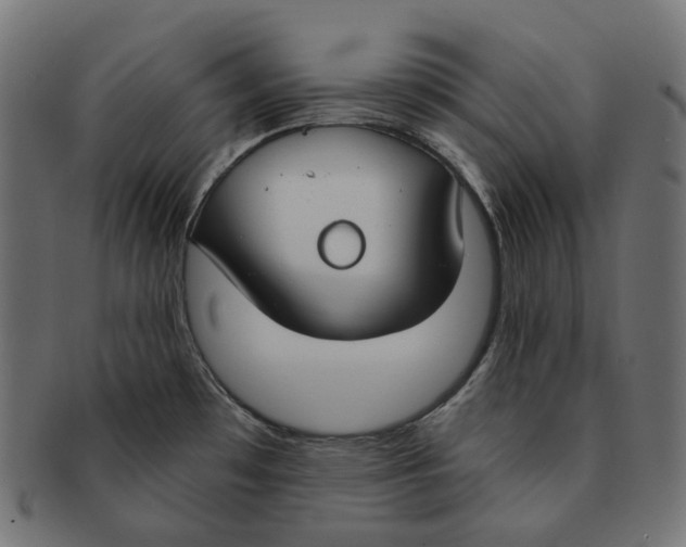 X0000091731481200709211011