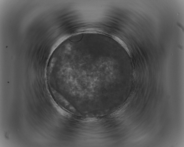 X0000091731482200709211011