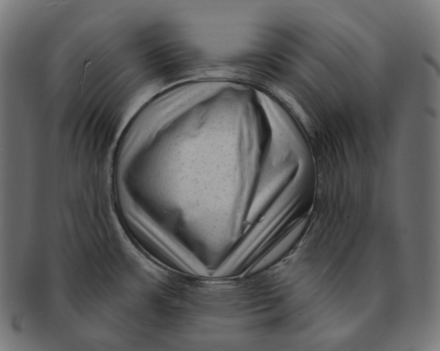 X0000091731483200709211011