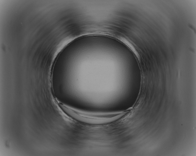 X0000091731485200709211011