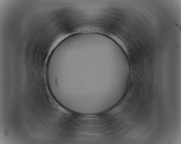 X0000091731486200709211011