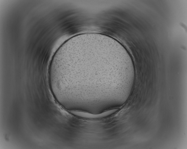 X0000091731488200709211011