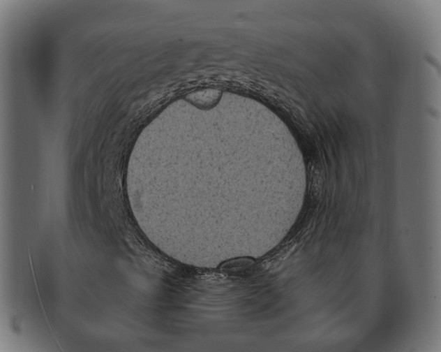 X0000091731489200709211010