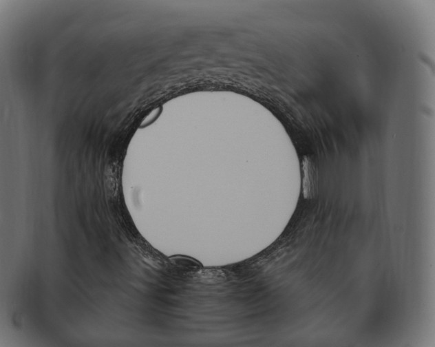 X0000091731491200709211010