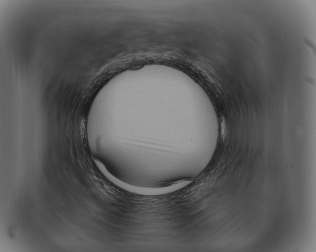 X0000091731492200709211010