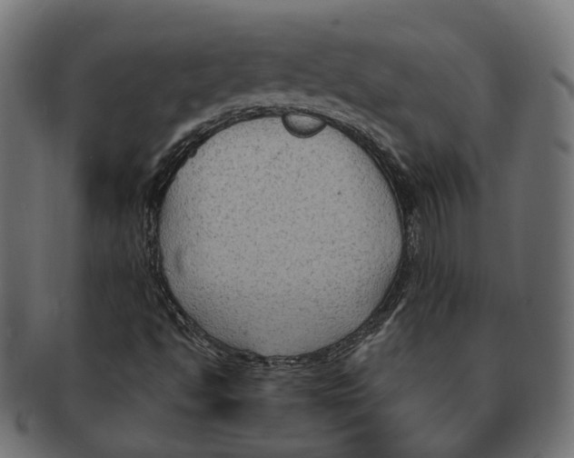 X0000091731494200709211010