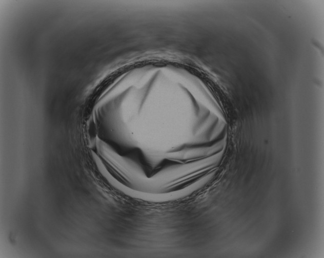 X0000091731496200709211010