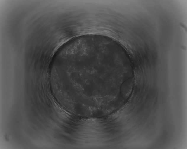 X0000091731497200709211010