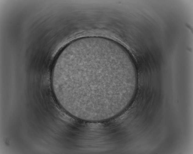 X0000091731498200709211010