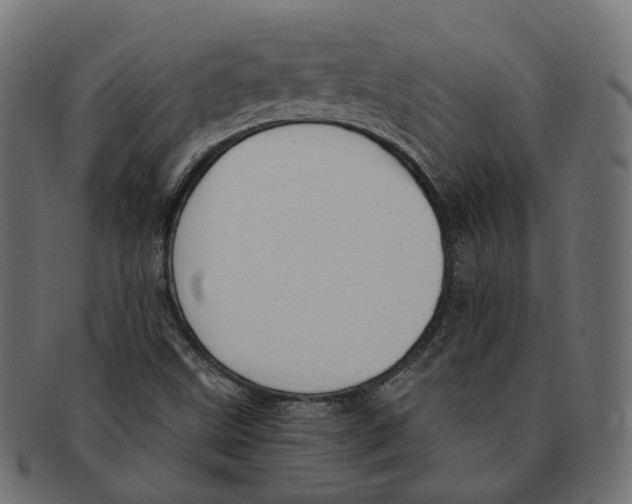 X0000091731499200709211010