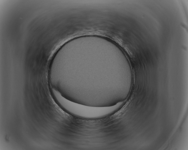 X0000091731500200709211010