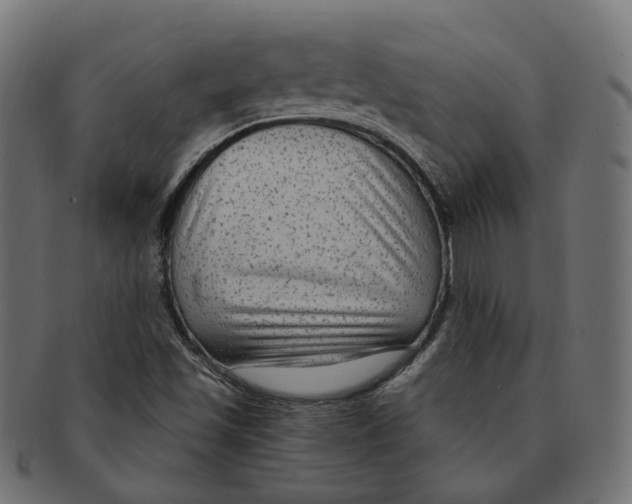 X0000091731501200709211010