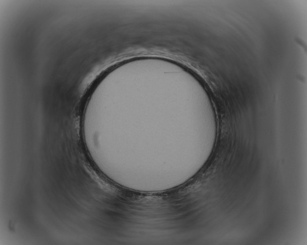 X0000091731503200709211010