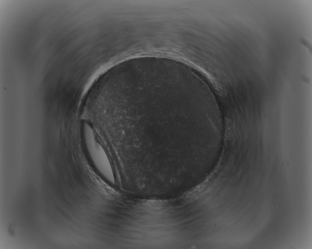 X0000091731506200709211010