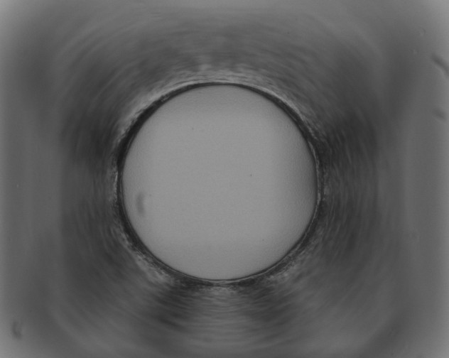 X0000091731507200709211010