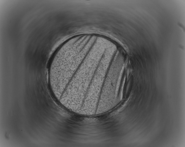 X0000091731509200709211010