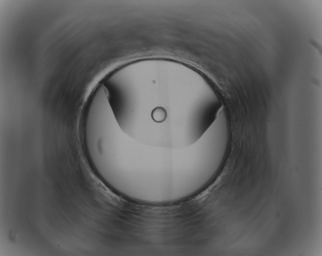 X0000091731510200709211010