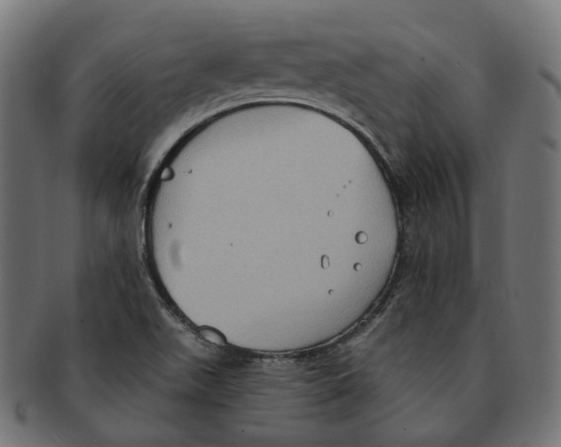 X0000091731511200709211010