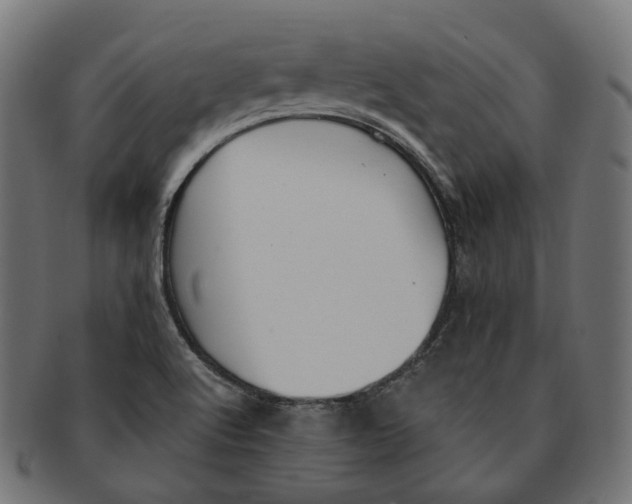 X0000091731512200709211010