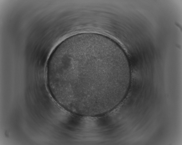 X0000091731514200709211010