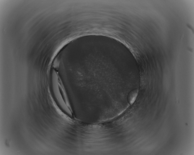 X0000091731515200709211010