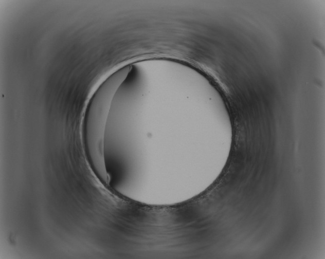 X0000091731516200709211010