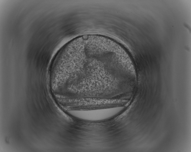 X0000091731517200709211010