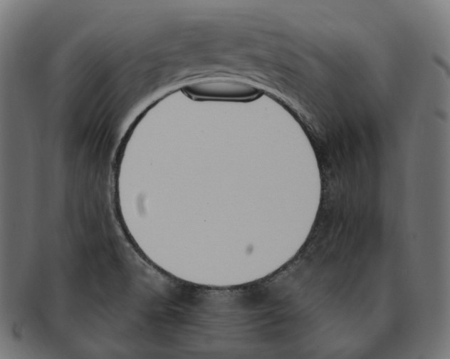 X0000091731518200709211010