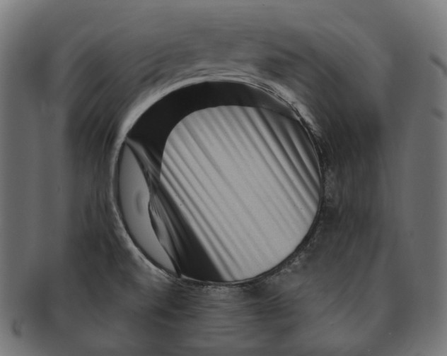 X0000091731520200709211010